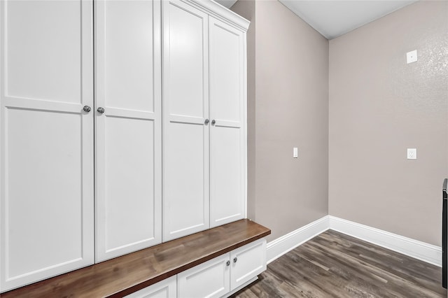 mudroom with dark hardwood / wood-style flooring