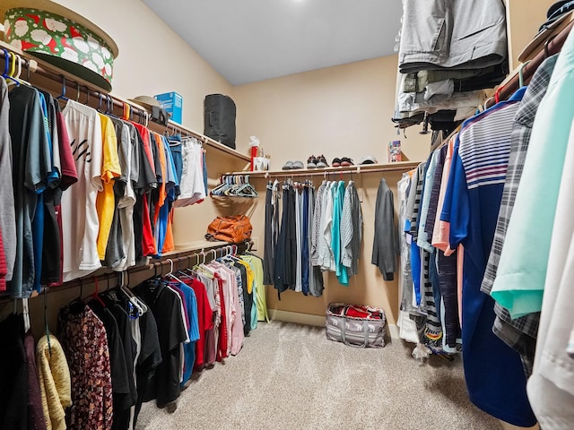 spacious closet featuring carpet flooring