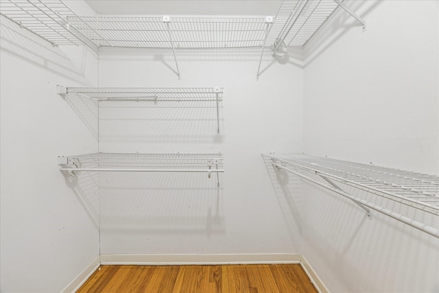 spacious closet with hardwood / wood-style flooring