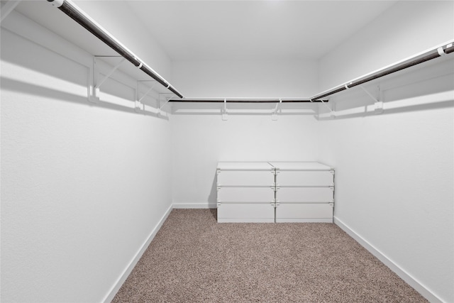 spacious closet featuring carpet floors