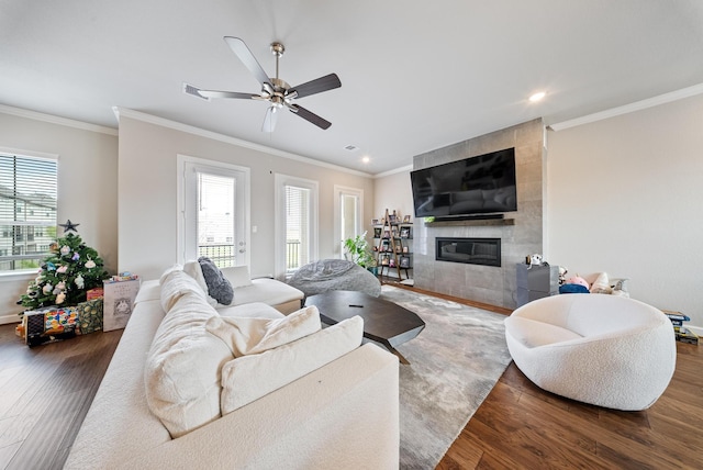 living room featuring a fireplace, a wealth of natural light, and dark wood-type flooring