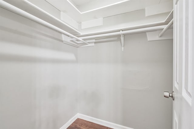 spacious closet featuring hardwood / wood-style floors