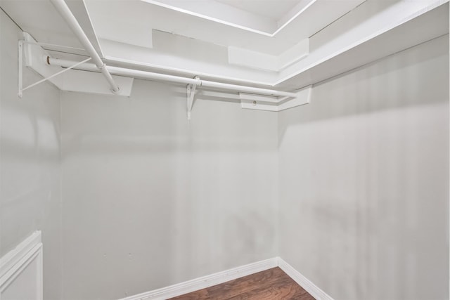 spacious closet with wood-type flooring