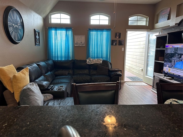 living room with wood-type flooring and lofted ceiling