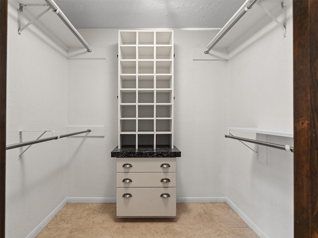 view of walk in closet