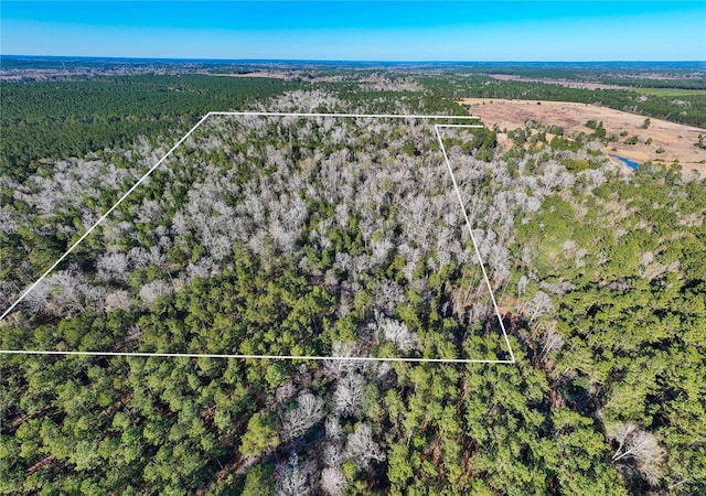 TBD Cr 2777, Woodville TX, 75979 land for sale