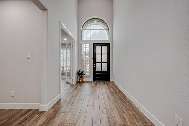 entrance foyer with a high ceiling, baseboards, and wood finished floors