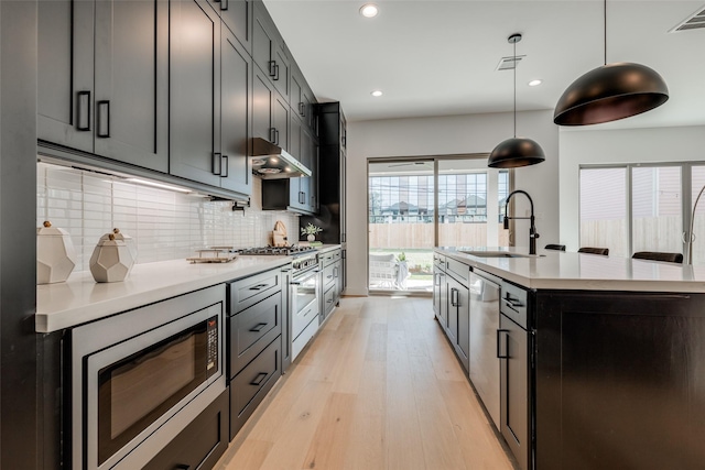 310 E 27th St, Houston, TX 77008 - kitchen featuring a sink, decorative backsplash, light wood-type flooring, appliances with stainless steel finishes, and under cabinet range hood