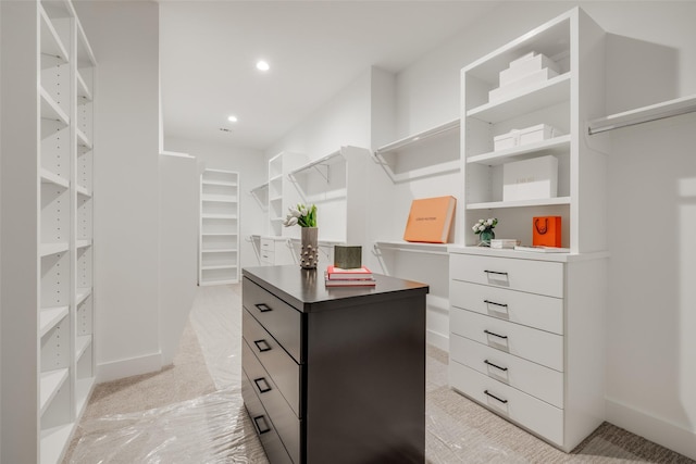310 E 27th St, Houston, TX 77008 - walk in closet with light colored carpet