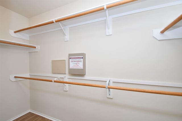 walk in closet with wood-type flooring