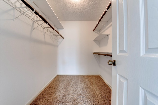 spacious closet with carpet flooring