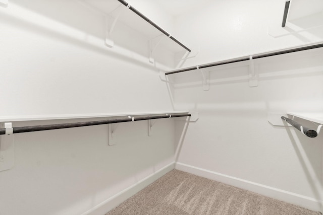 walk in closet with carpet floors