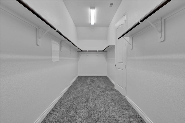 walk in closet featuring carpet flooring