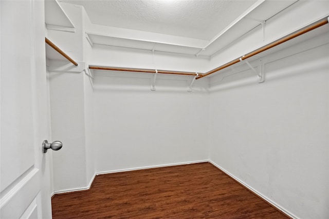walk in closet featuring wood finished floors