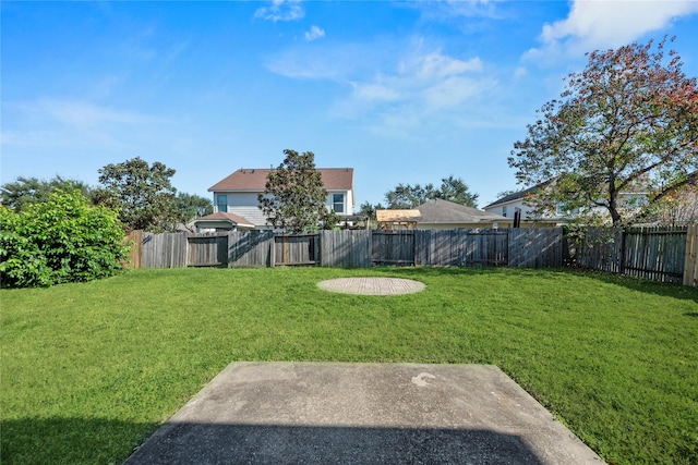 view of yard featuring a fenced backyard and a patio