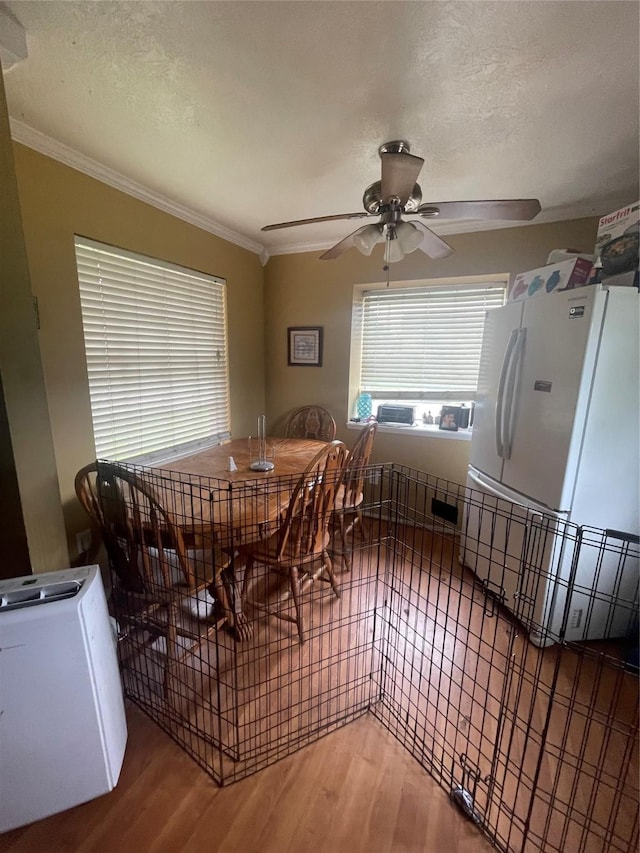 dining area featuring wood-type flooring, ceiling fan, a textured ceiling, and crown molding