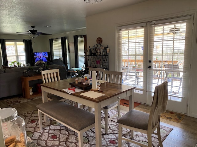 dining room featuring hardwood / wood-style floors, a textured ceiling, and ceiling fan