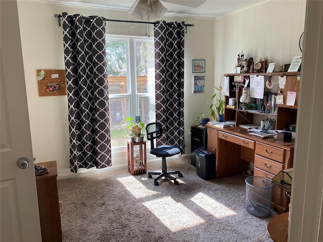 office featuring ceiling fan, ornamental molding, and carpet floors