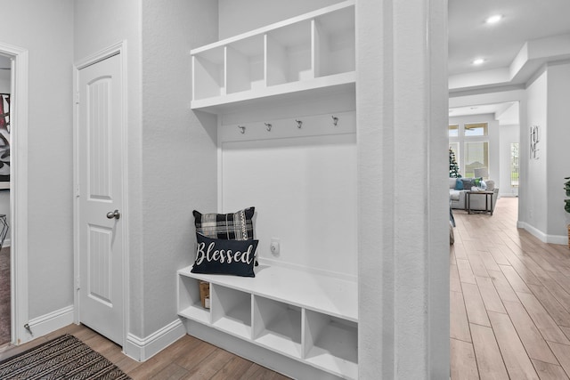 mudroom with hardwood / wood-style floors