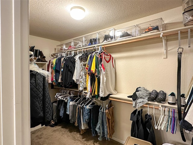 spacious closet with carpet