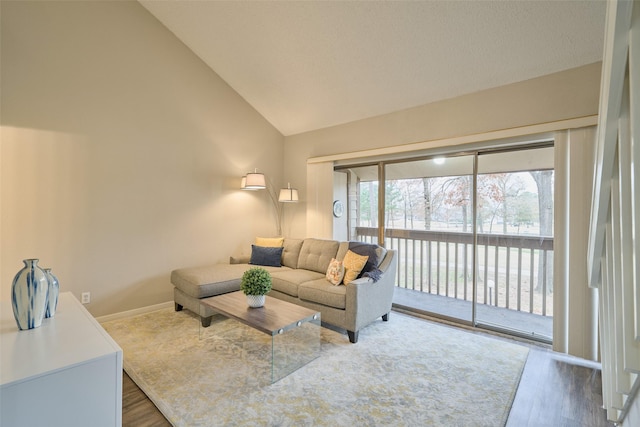 living room featuring high vaulted ceiling and hardwood / wood-style floors