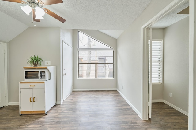 interior space featuring hardwood / wood-style flooring, vaulted ceiling, and a textured ceiling