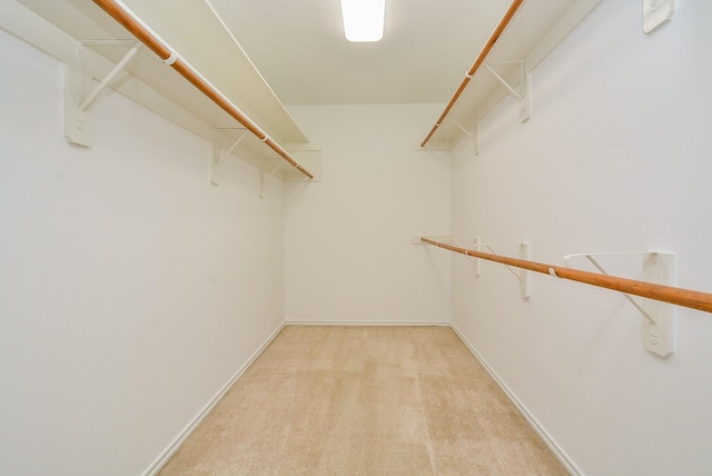 spacious closet with light colored carpet