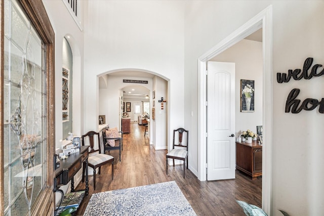 hall featuring dark wood-type flooring and a high ceiling