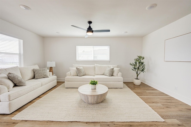 living room with a wealth of natural light, ceiling fan, and light wood-type flooring