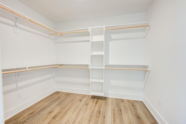 spacious closet with hardwood / wood-style floors