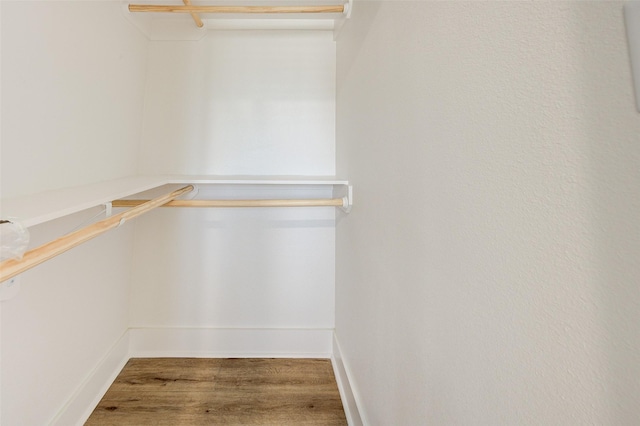 walk in closet featuring hardwood / wood-style flooring