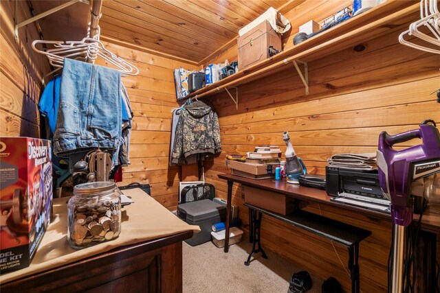586 Beverly Blvd, Onalaska, TX 77360 - spacious closet featuring carpet floors