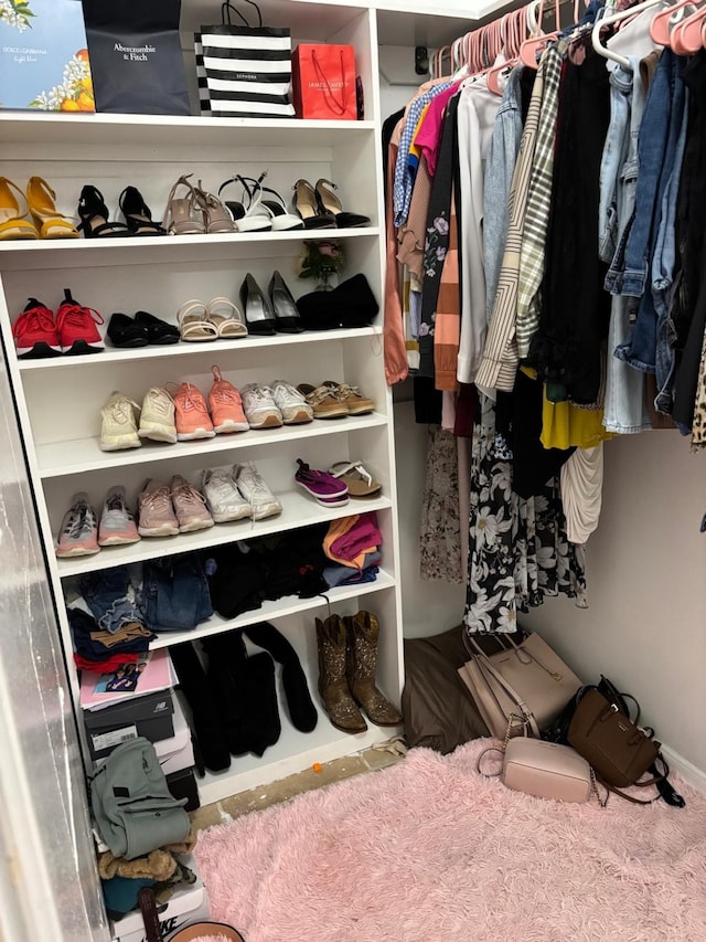 view of walk in closet