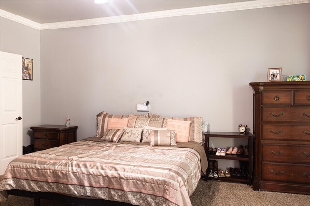 10722 Trail Ridge Dr, Houston, TX 77064 - bedroom featuring carpet flooring and crown molding