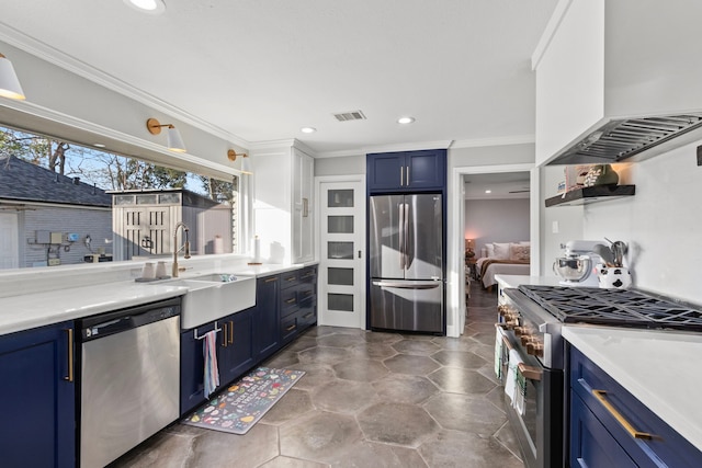 kitchen featuring premium range hood, blue cabinetry, sink, ornamental molding, and stainless steel appliances