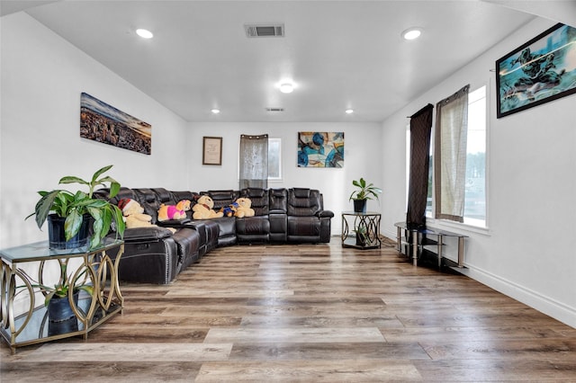 living room featuring hardwood / wood-style flooring