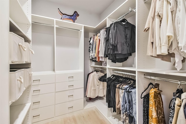 view of walk in closet