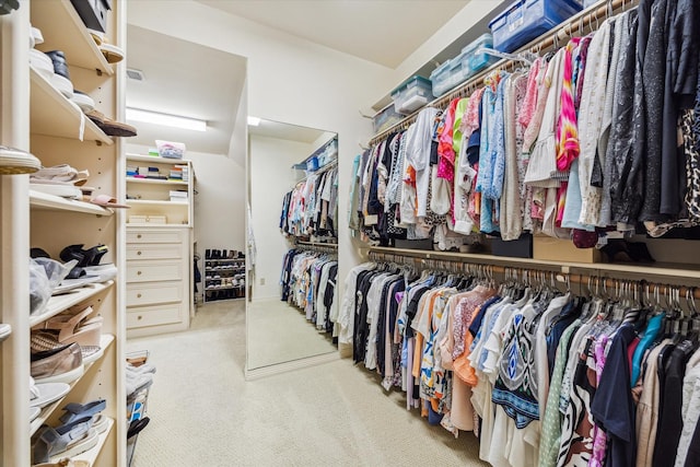 spacious closet featuring carpet floors