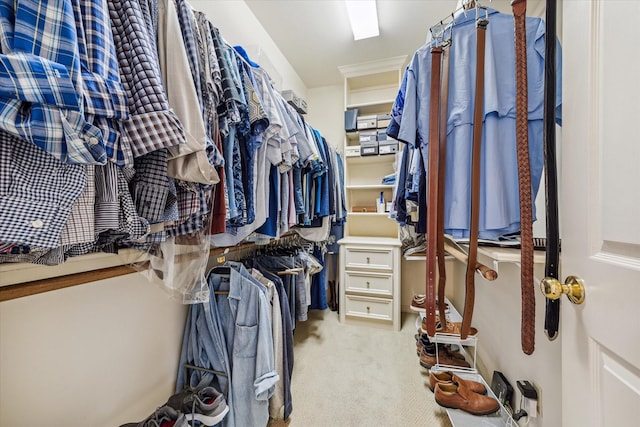 spacious closet with light colored carpet