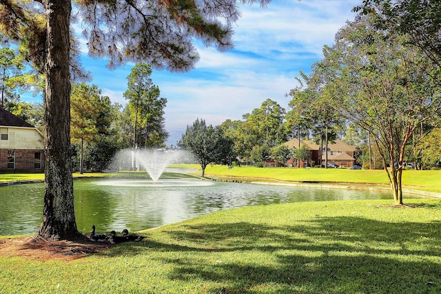 view of water feature