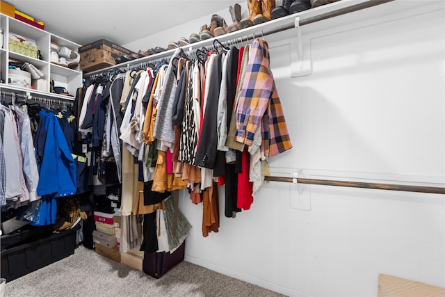 walk in closet with light colored carpet