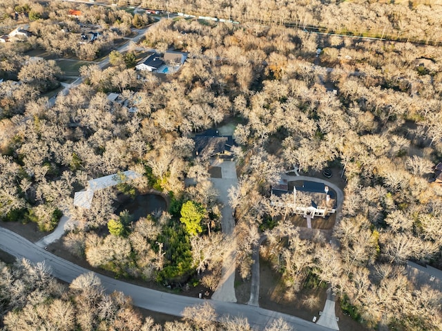 bird's eye view