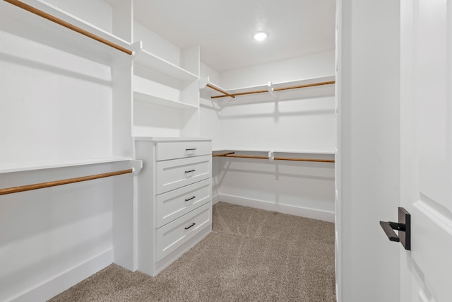 spacious closet featuring light colored carpet