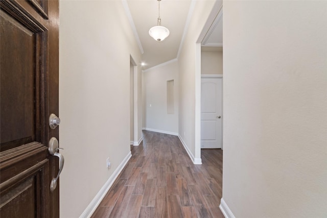 hallway featuring crown molding and dark hardwood / wood-style floors