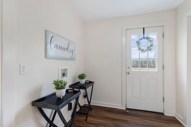 foyer with dark wood-type flooring