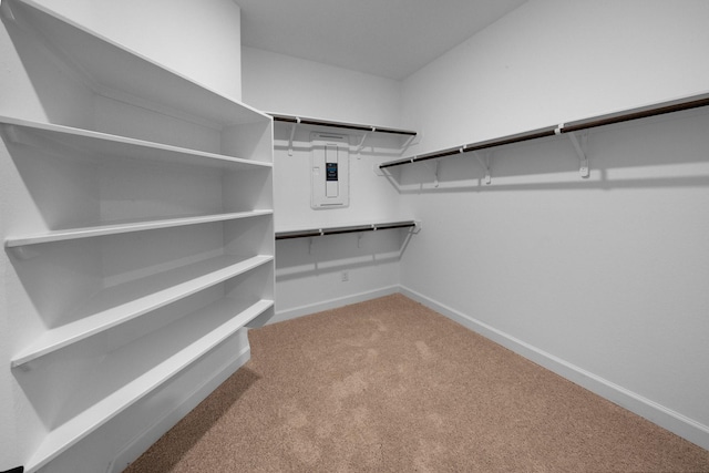 spacious closet featuring electric panel and carpet