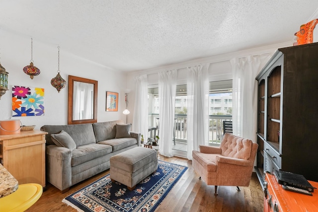 living room featuring a textured ceiling and dark hardwood / wood-style flooring