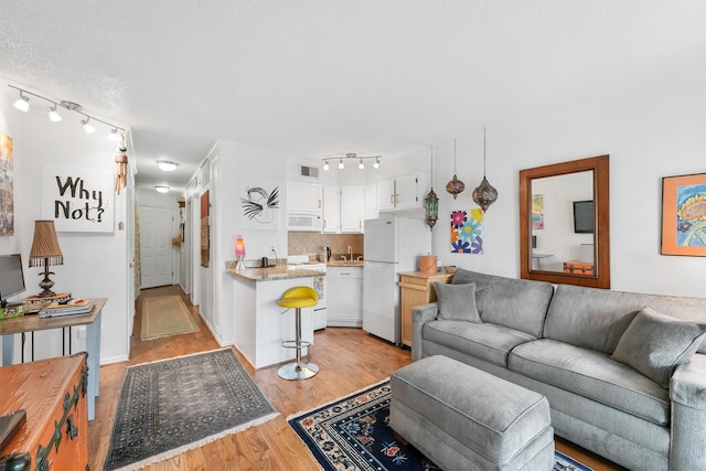 living room with light hardwood / wood-style flooring