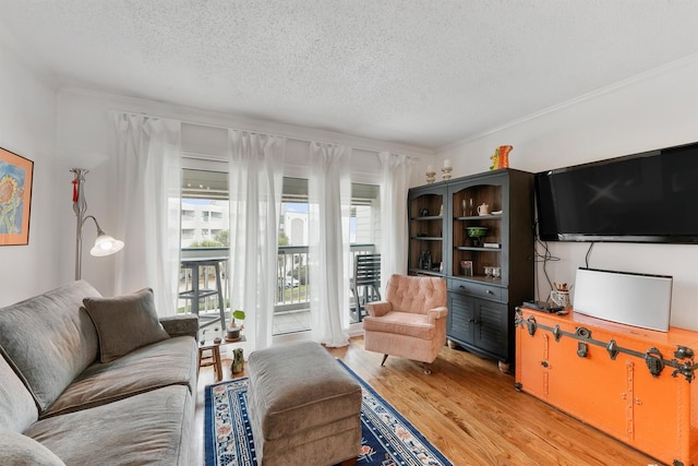 living room featuring hardwood / wood-style floors and a textured ceiling