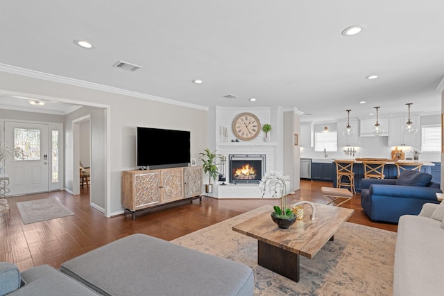 living room featuring a fireplace, crown molding, dark wood-type flooring, and sink